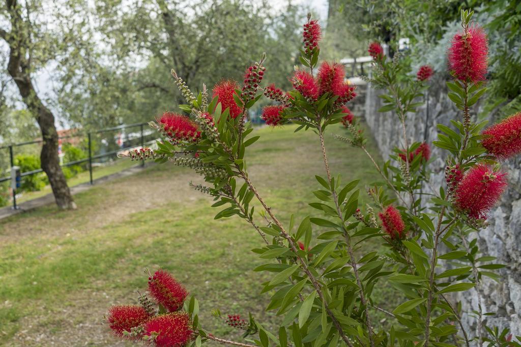 Monja Camping Village Brenzone sul Garda Exteriör bild