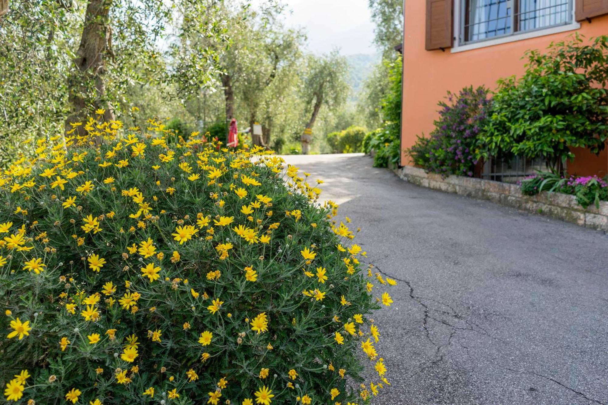 Camping Monja Hotell Brenzone sul Garda Exteriör bild