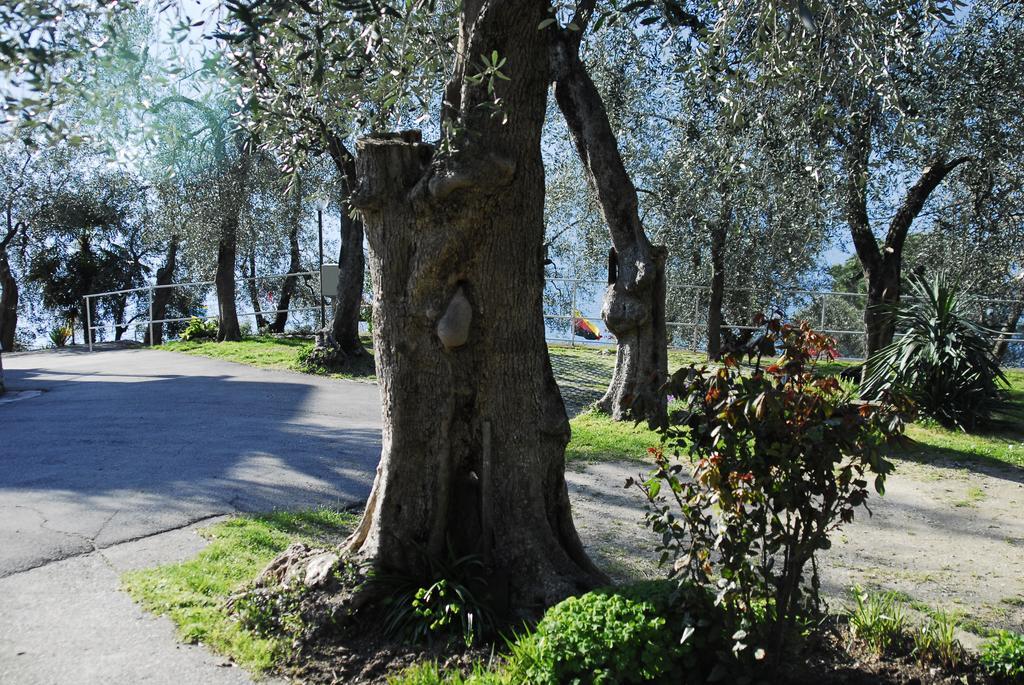 Monja Camping Village Brenzone sul Garda Exteriör bild