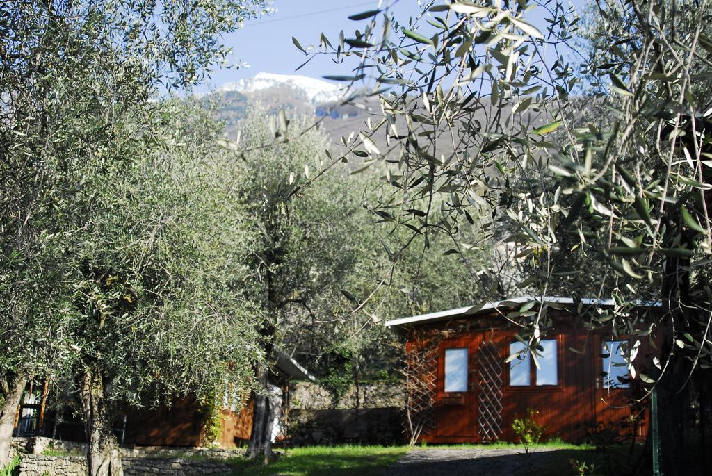 Camping Monja Hotell Brenzone sul Garda Exteriör bild